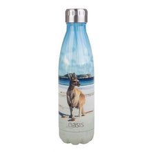 Load image into Gallery viewer, OASIS S/S DOUBLE WALL INSULATED DRINK BOTTLE 500ML