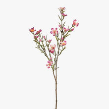 Load image into Gallery viewer, Wax Flowers