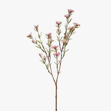 Load image into Gallery viewer, Wax Flowers