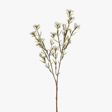 Load image into Gallery viewer, Wax Flowers