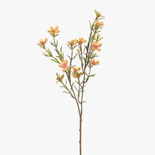 Load image into Gallery viewer, Wax Flowers