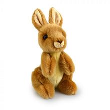 Load image into Gallery viewer, LIL FRIENDS 18cm