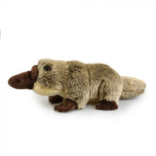 Load image into Gallery viewer, LIL FRIENDS 18cm