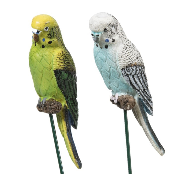 Budgie on Stick