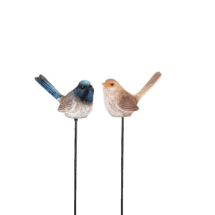 Fairy Wren on stick Mixed