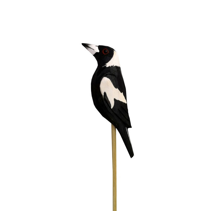 Magpie Timber on Stick