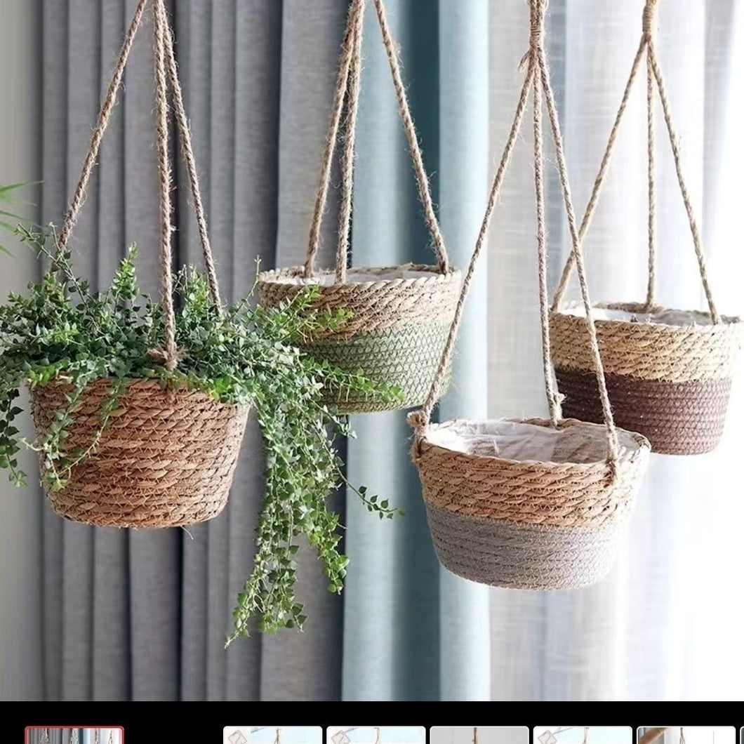 hanging basket