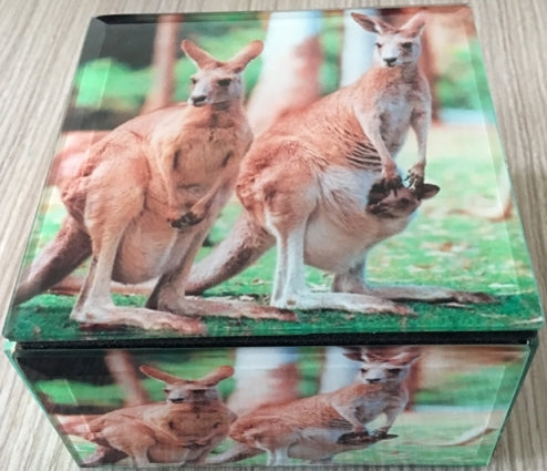 Glass Box – Kangaroo 10cm x 10cm x 6cm