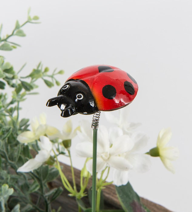 Ladybug on Stick