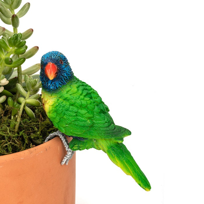 Lorikeet Pot Sitter