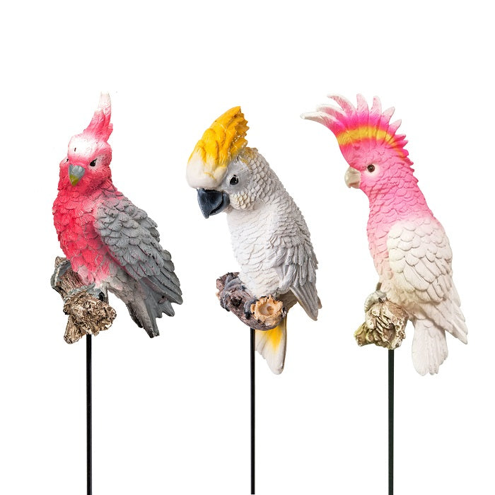 Cockatoo on Stick