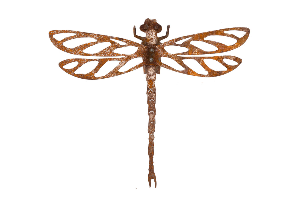 Dragonfly Rust Medium