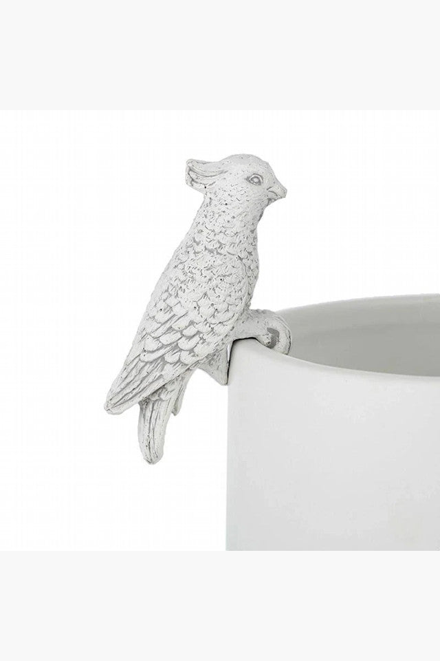 Cockatoo Pot Sitter