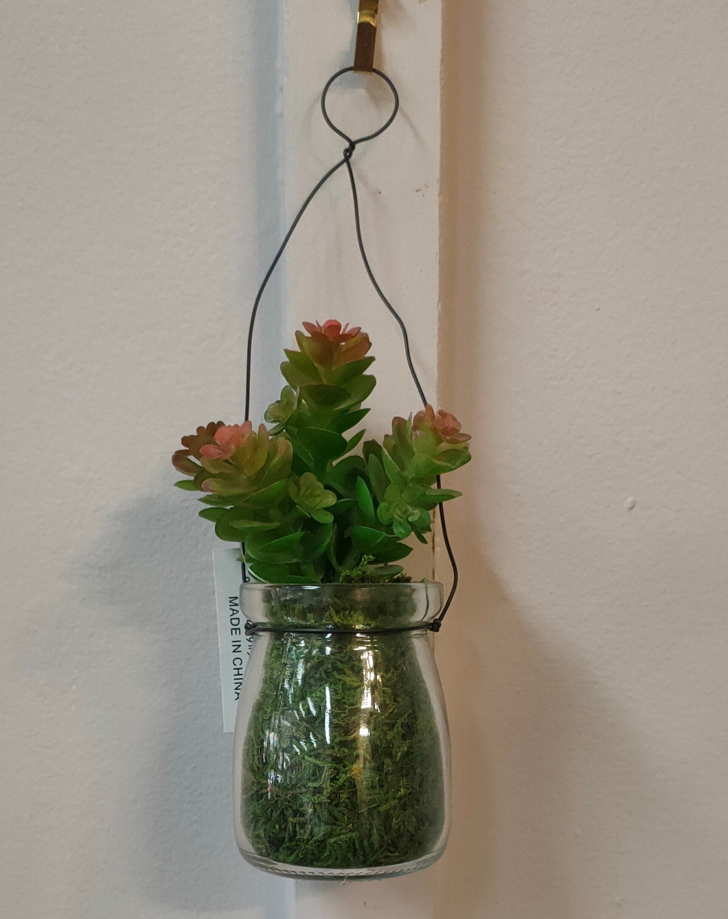 Hanging Succulents in Bottle