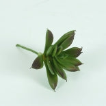 10cm Succulent pick