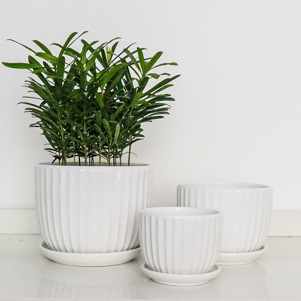 White Rib Pot Set