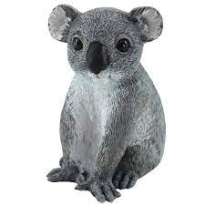 Native Koala