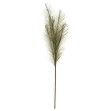 Load image into Gallery viewer, 70CM FAUX PAMPAS GRASS NATURAL
