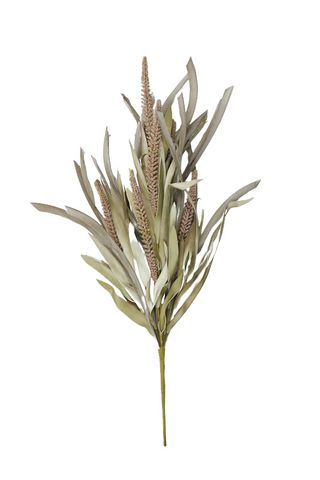 TALL GRASS STEM 58CM NATURAL