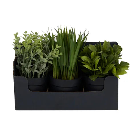 S/3 MINI POTS 20CM DISPLAY BOX 27X9X16CM