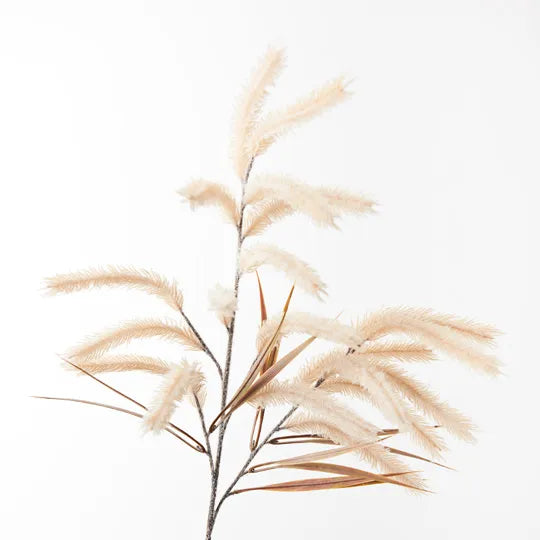 Pampas Grass Spray