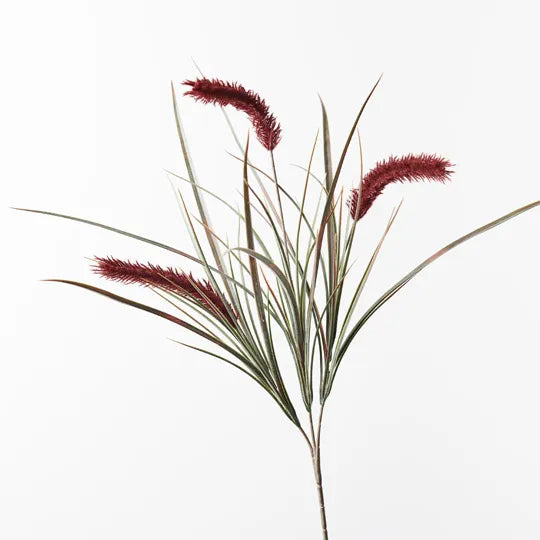 Pampas Grass Spray - Burgundy