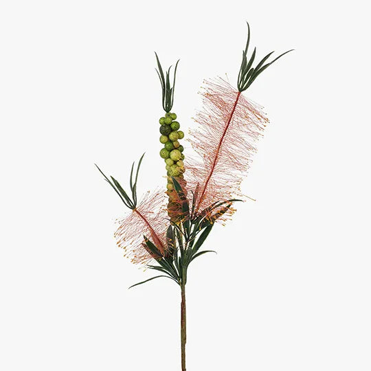 Bottlebrush Spray - Pink