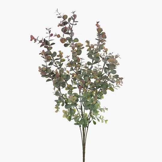 Eucalyptus Bush - Olive Green