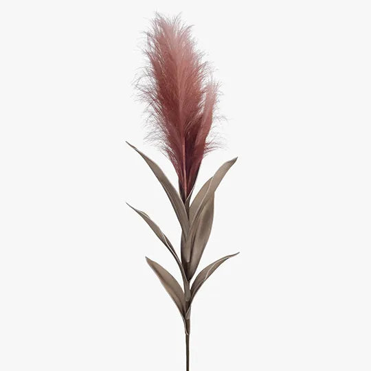 Pampas Grass w/Leaf - Mauve Pink