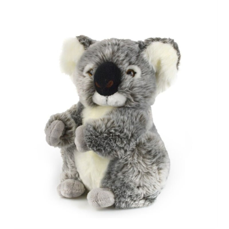 KOALA KALYPSO