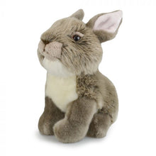 Load image into Gallery viewer, LIL FRIENDS 18cm
