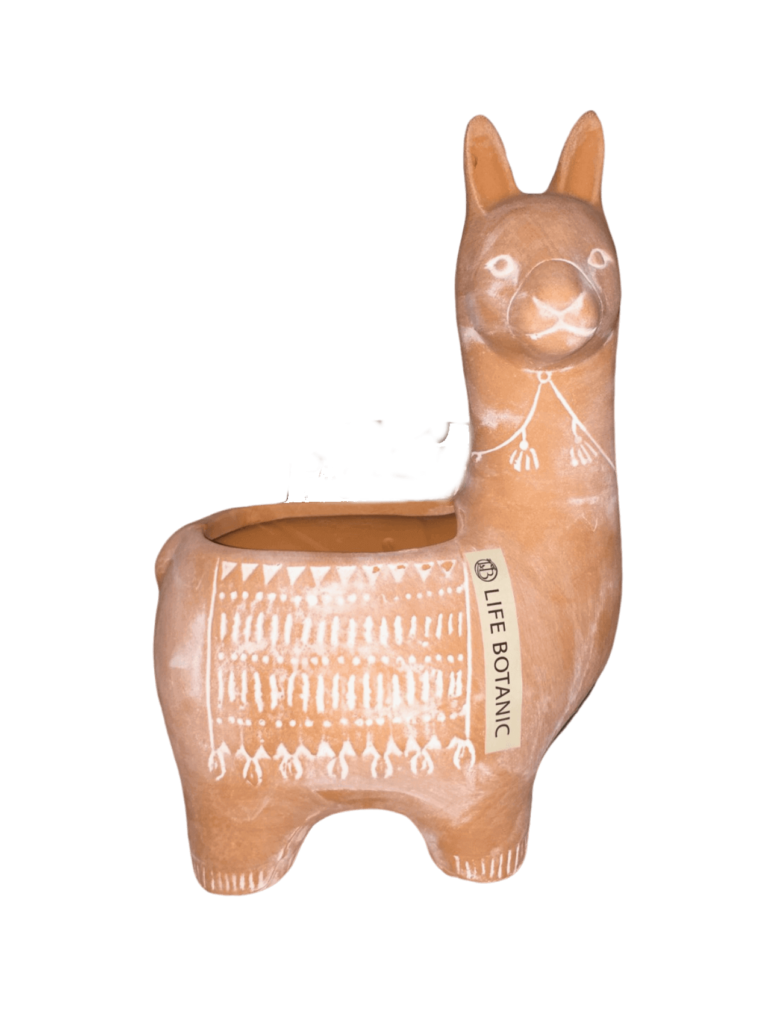 LOBA CERAMIC PLANTER